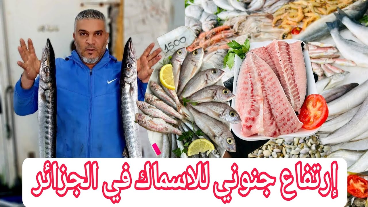 الاسماك في الجزائر لمن إستطاع إليها سبيلا إرتفاع جنوني في عز شهر الرحمة 
