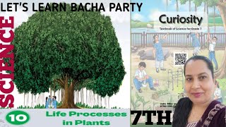 Science curiosity chapter 10 life processes in plants ncert #cbse #kvs
