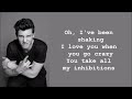 Shawn Mendes - There's Nothing Holding' Me Back LYRICS