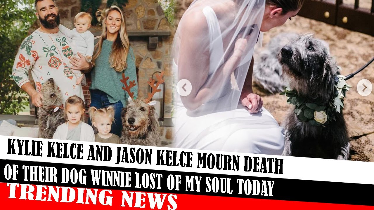 Kylie Kelce And Jason Kelce Mourn Death Of Their Dog Winnie Lost Of My