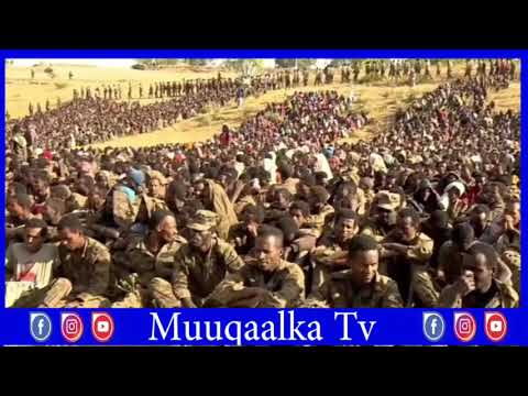 Wararka Itoobiya Latest News Ethiopia Wararkii Ugu Dambeyay Wararka Maanta
