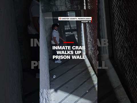 Video shows inmate crab walk walls sideways to escape prison