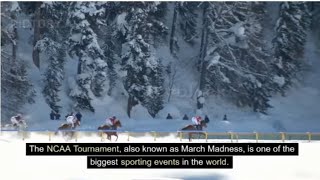 "The Ultimate Guide to the NCAA March madness: History, Traditions, and Impact"
