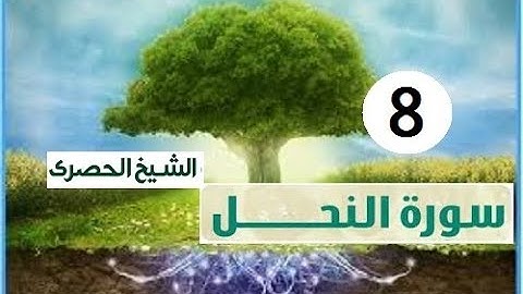 ‏المصحف المعلم الشيخ الحصري  سورة  النحل الجزء الرابع عشر الوجه13
