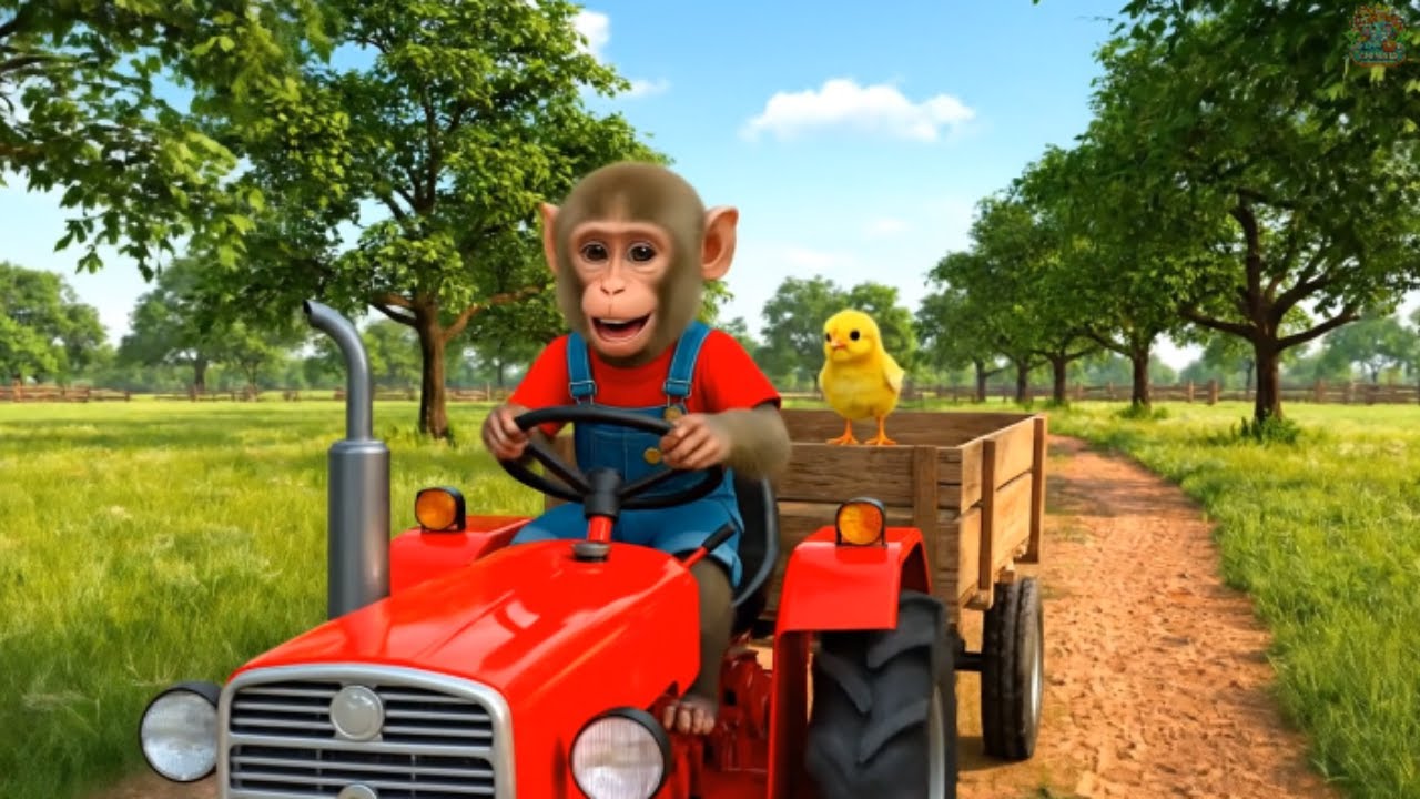 🐒🚜 Monkey Day on the Farm: Monkey Kappa Saves a Baby Chicken | Kappa Harvests Giant Cabbages!