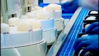 Culture Beauty and Human Emotions-Sushiサーモン寿司と日本酒