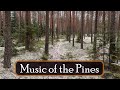 Music Of The Pines