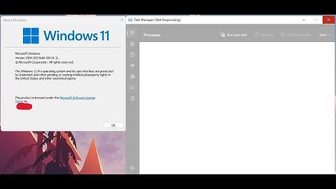 Task Manager Bug in Windows 11