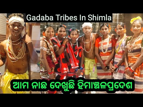 Gadaba Tribes In Shimla ll Tribal youth Exchange program shimla 2023 ll ...