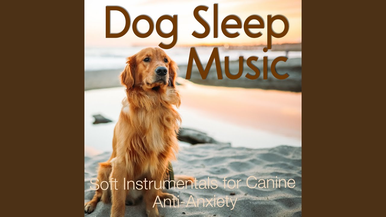 canine lullaby