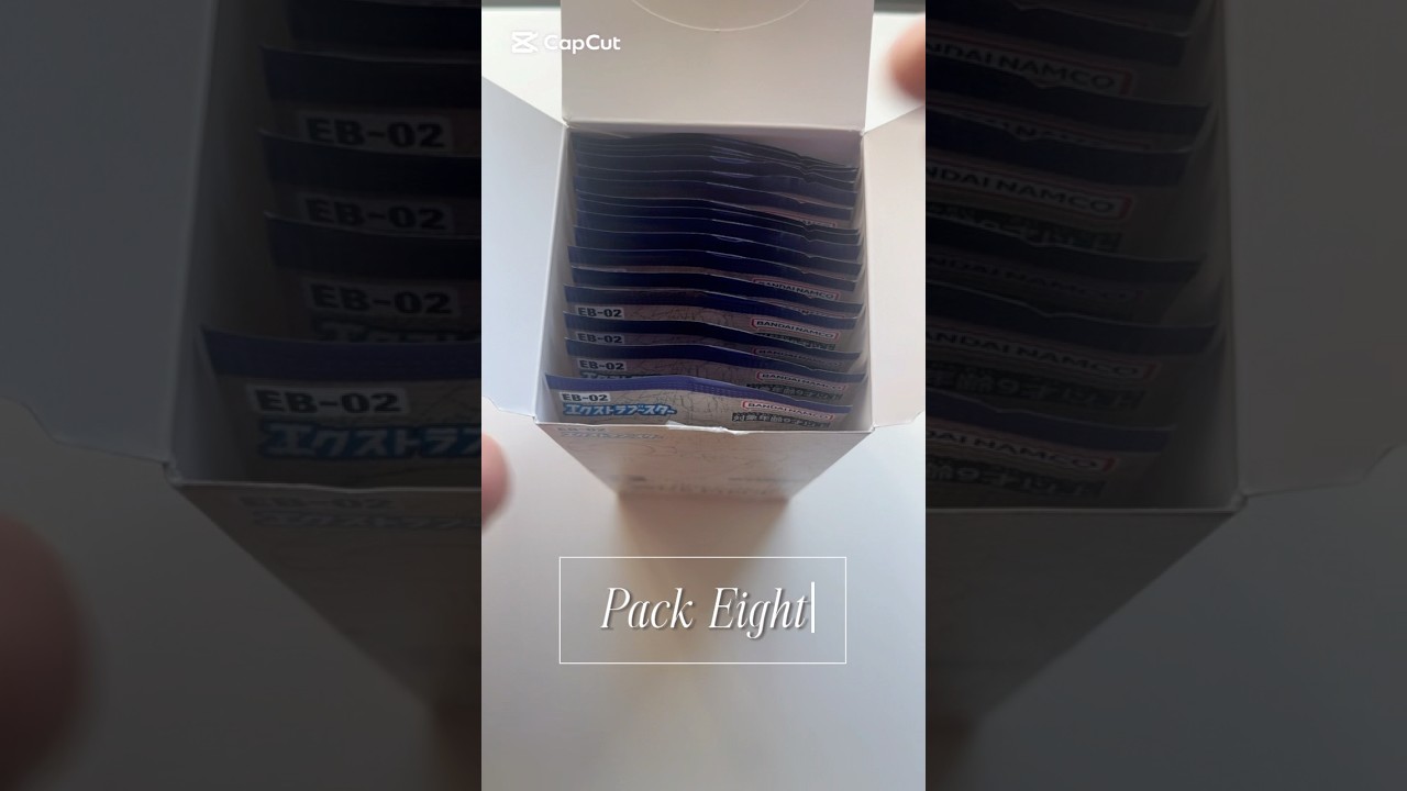 Pack Eight Of My One Piece Box. 