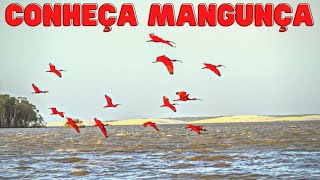 Incrível, você conhece Mangunça? Muitos conhecem apena os Lençóis, mas no Maranhão tem muito mais!