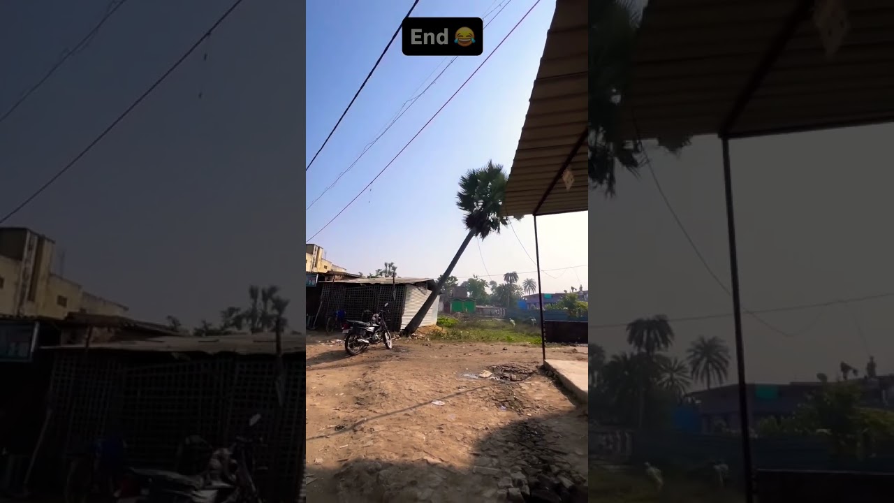 Taar Gaach ❌ Content ✅ 