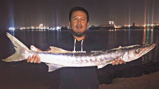 Catching Huge Barracuda Fish On Abu Dhabi Shore! screenshot 5