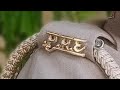 Welcome all of you my silent live👮‍♀️🌺