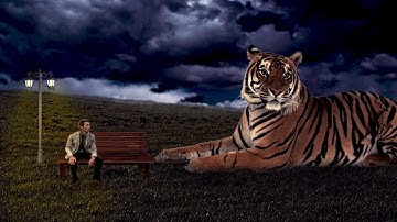 The Giant Tiger-Photoshop Tutorial