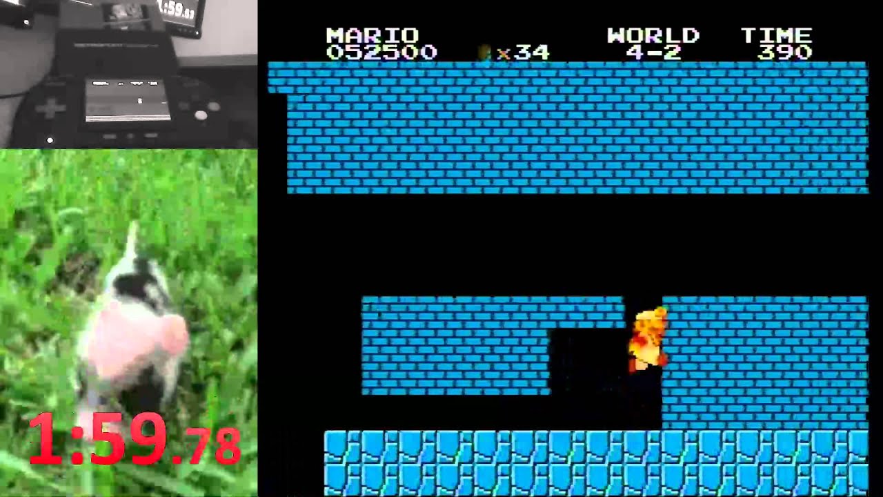 (SMB1) ANY% PB 2/19/15