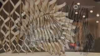 Architectural Association (AA) EmTech Design and Build Project
