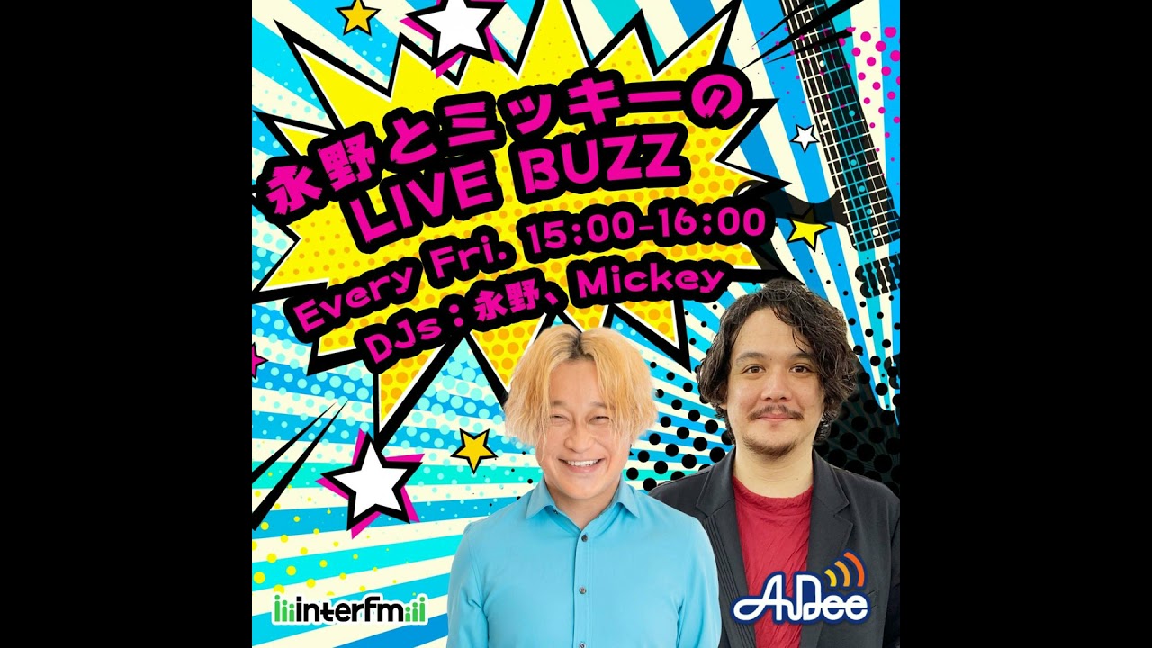 激レア！ ジェーンズアディクション janes addiction ナバロ Jane's