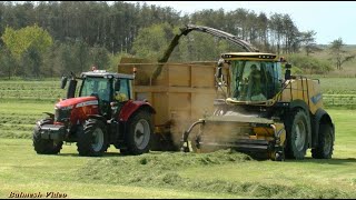 Silage Making with New Holland FR 650 and Various Tractors and Trailers.