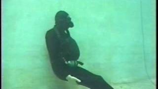 Clark The Shark Tests Force Fins