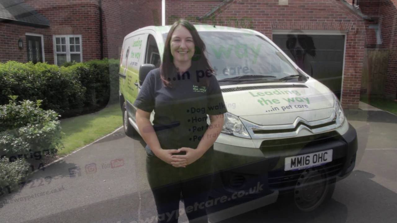 Leading the way pet care vehicle tour YouTube