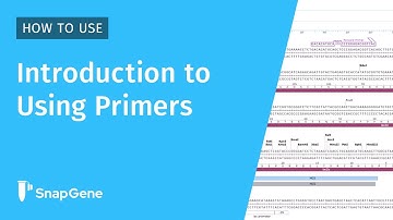 Introduction to Using Primers in SnapGene