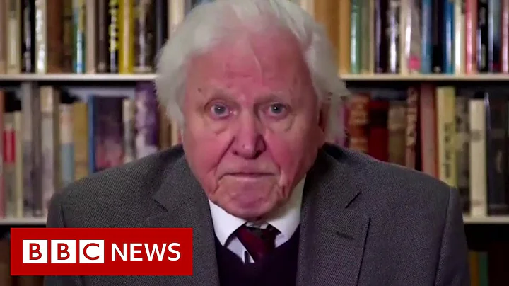 Attenborough gives stark warning on climate change to UN - BBC News