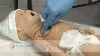 Gaumard S554.100 Newborn features screenshot 2