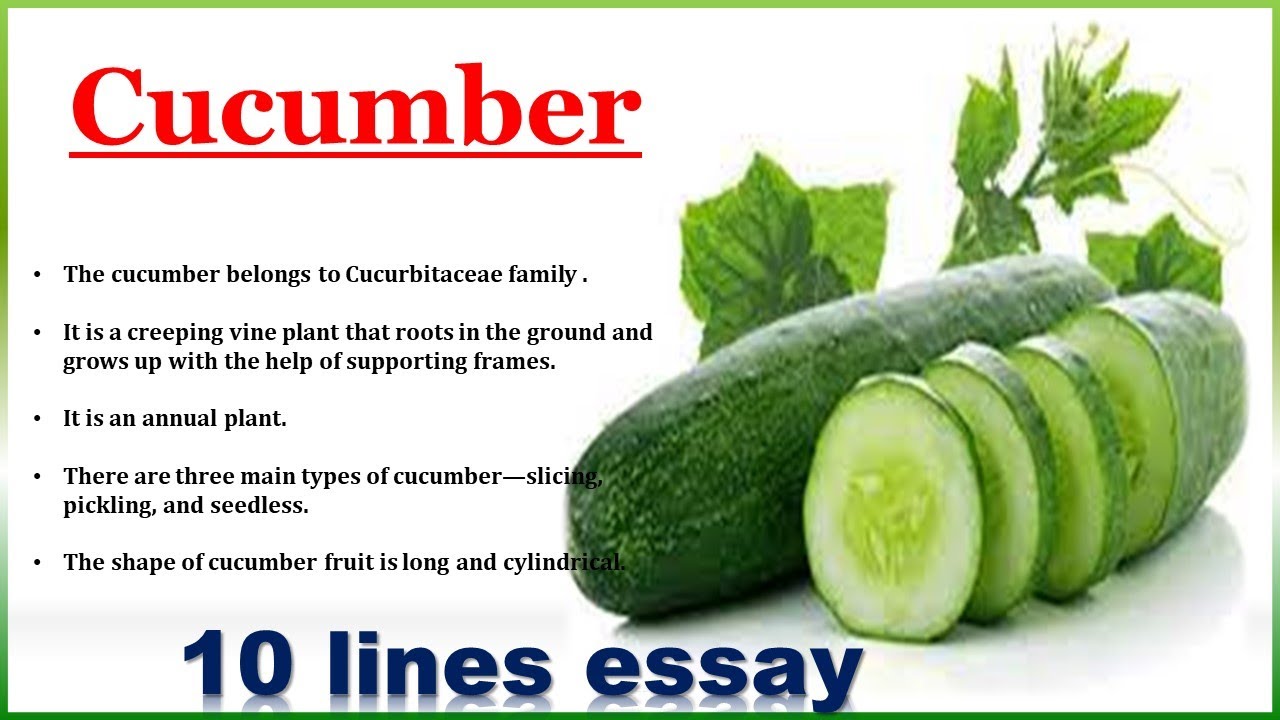 10 lines essay on Cucumber 10 lines on Cucumber YouTube
