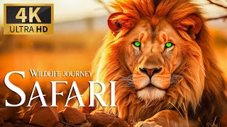 Wildlife Journey Safari 4K 🦁Majestic Encounters Wild Animals In The Wilderness With Calm Piano Music