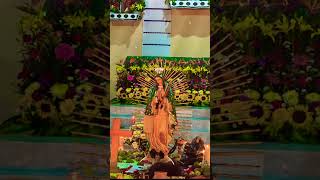 Junto A Ti María (Melodic EDM &amp; Future Bass)- cover by d4x