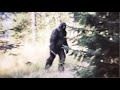 This Man Was Able To Capture The Clearest Images Of Bigfoot Ever Taken