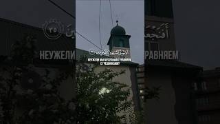 ﷽ 🎙️ Махди аш-Шишани 🌴📚 Сура Аль-Калям
