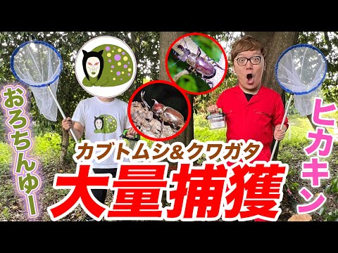 ヒカキン×おろちんゆーで本気の虫取り&森林伐採で奇跡が!?