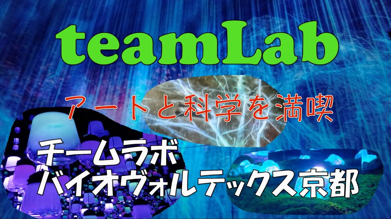 【4K】チームラボ バイオヴォルテックス 京都 　#チームラボ #京都 #アート #ミュージアム #メガリス