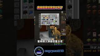 養蜜蜂養到畫風不對了#minecraft #shorts #minecraftshorts #atm10