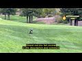 Review MGI Zip Navigator All Terrain Electric Golf Cart - 36 Hole Battery - Remote Control - (Drink,