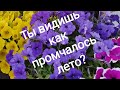 &quot;Ты видишь как промчалось лето?&quot; (И.Самарина-Лабиринт)