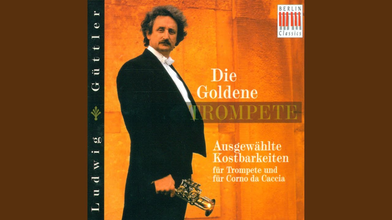 Смотреть «Concerto for 2 Corni da caccia in F major: II. Larghetto (after Vivaldi's Concerto for 2 Horns...» на YouTube