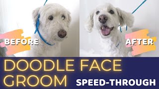 DIY Doodle Face Groom Speed-Through by Doodle Doods 9,898 views 2 years ago 17 minutes