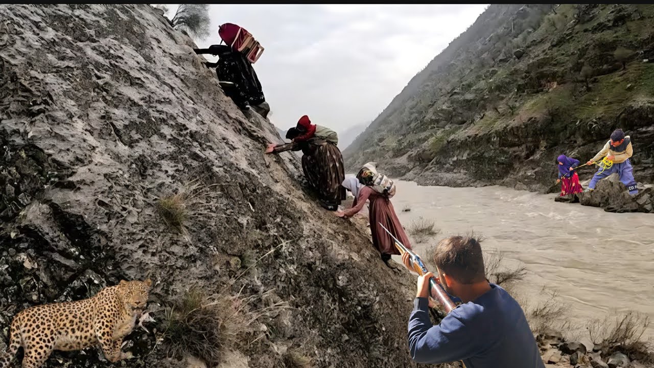 A mysterious journey into the heart of the mountains in search of a healing medicine