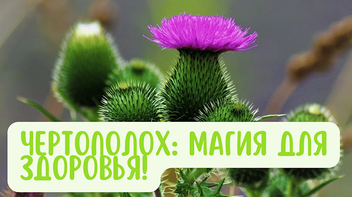 Секреты Чертополоха: Исцеление Изнутри и Снаружи