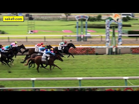 現地 ブラウシュヴァルツ 3歳未勝利 Youtube