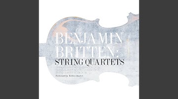 String Quartet No. 1 in D Major, Op. 25: II. Allegretto con slancio