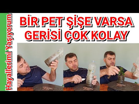 Video: Mason Kavanoz Gül Yayılımı - Kavanozların Altındaki Çeliklerden Gül Yetiştirme