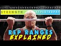 What Repetition Range Should YOU Train In?