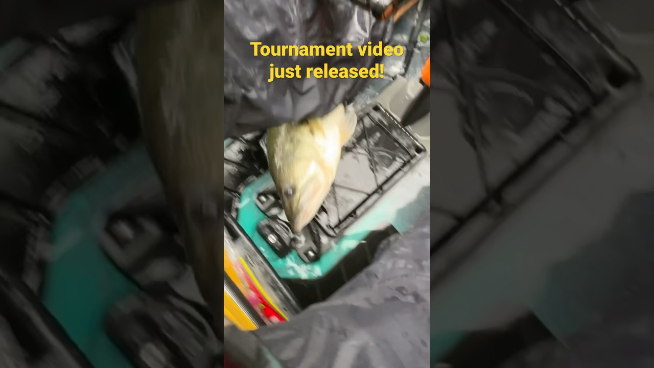 Kayak bass tournament Lake James, I won something! 