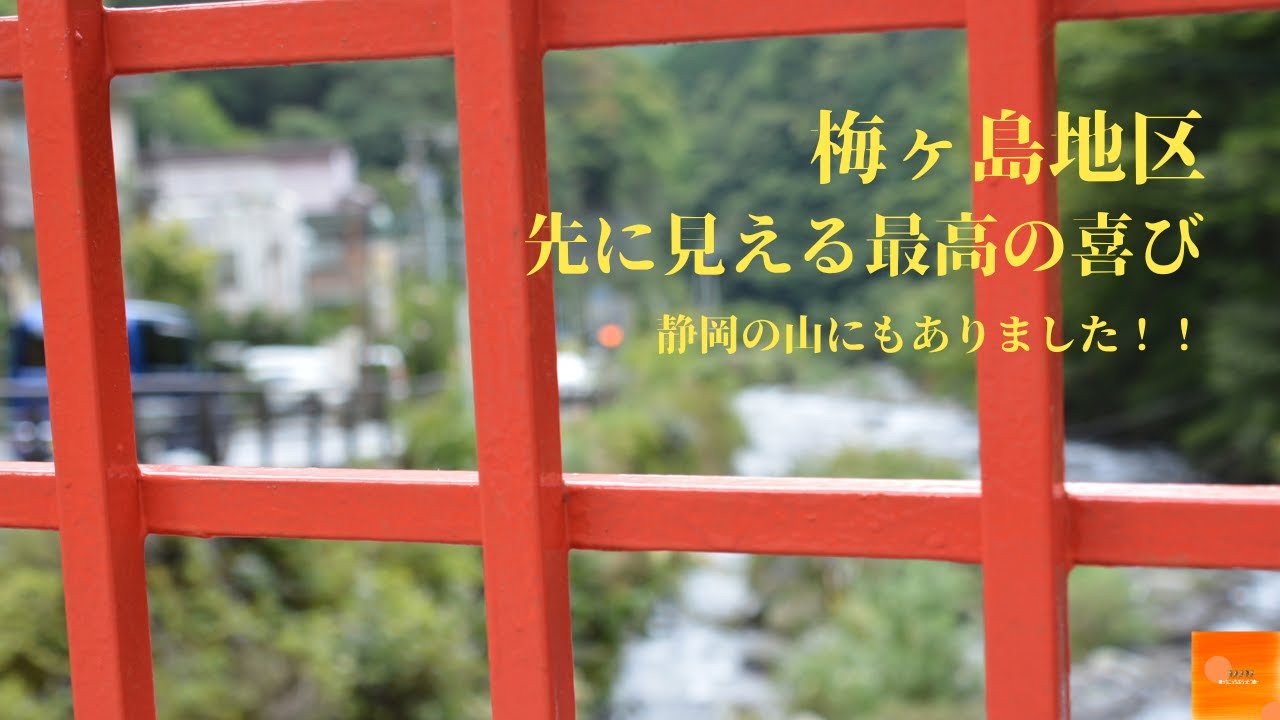 【梅ヶ島温泉】硫黄の温泉と自慢のおでんを食べてきた！【湯元屋虹乃湯】
