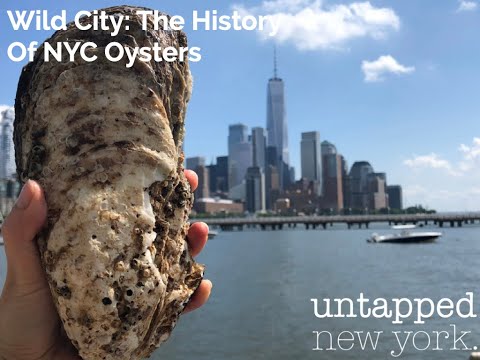 Wild City: The History of NYC Oysters